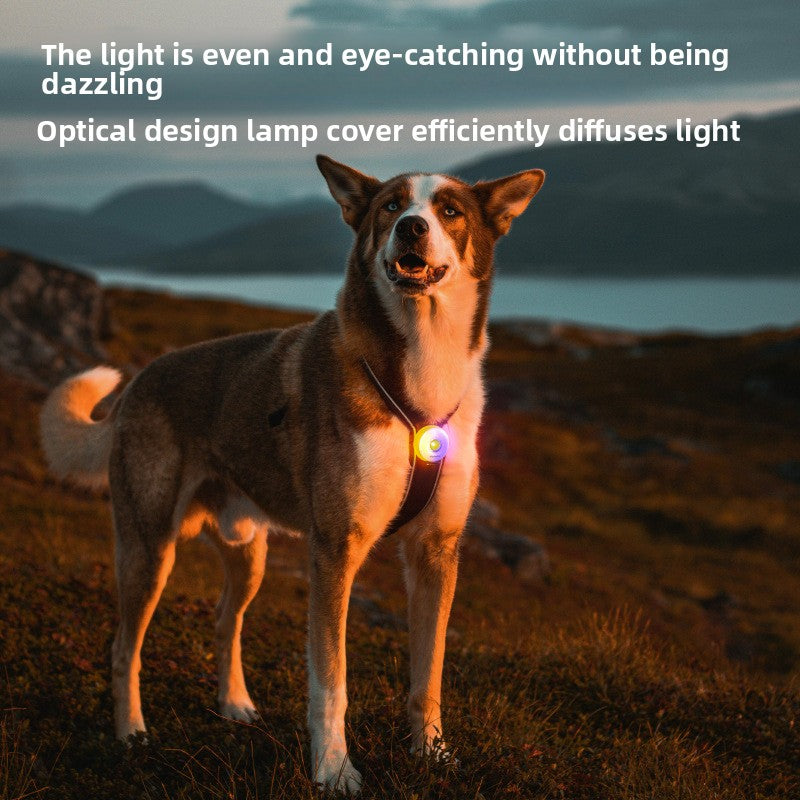 PeakPaw LED Pet Safety Light – Clip-On Night Visibility Light for Dog & Cat Collar, Harness or Leash
