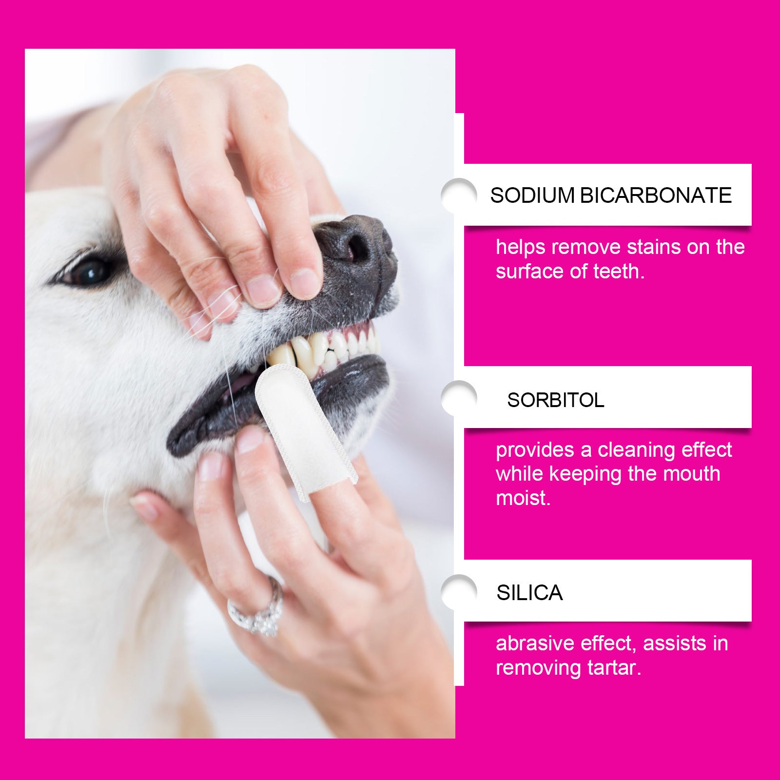 PeakPaw Disposable Pet Teeth Cleaning Finger Covers – Easy Dental Care for Dogs & Cats (50pcs)